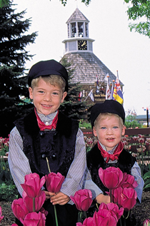 Dutch boys w tulips