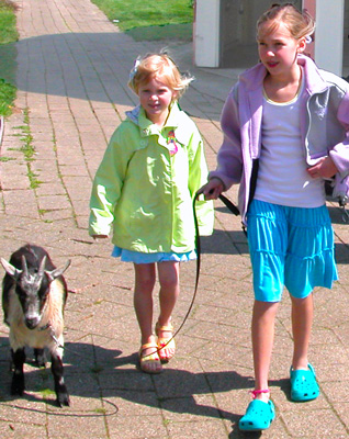 Walk our goat
