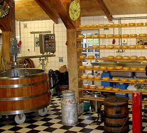 cheese making nl